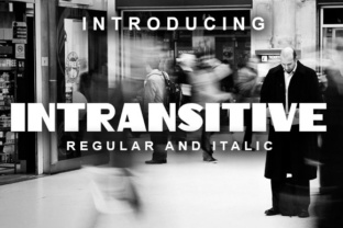 Intransitive: A Retro Font That Elevates Small Business Branding