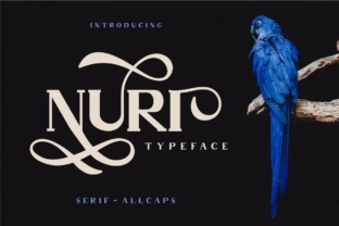 Nuri: A Classic Display Typeface for Campaign Designers