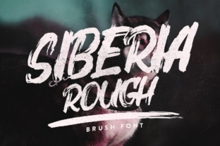 Siberia Rough: The Energetic Brush Font for Bold Headlines